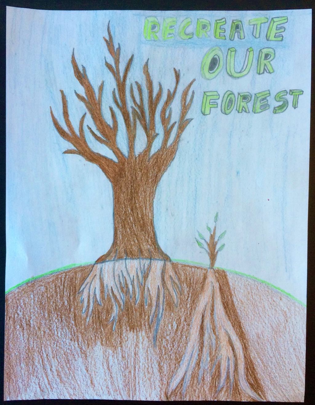 Sustainability Poster (1)